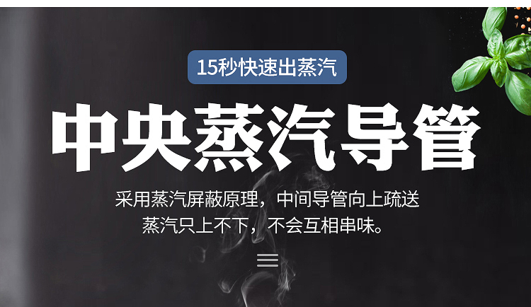 電蒸鍋_08 電蒸鍋_08